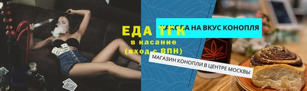 гашик Богородицк