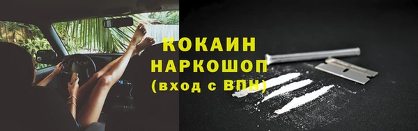 гашик Богородицк