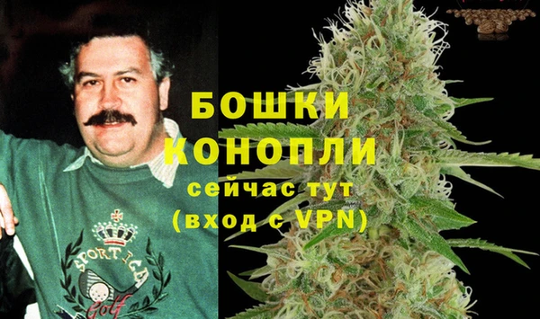 2c-b Богданович