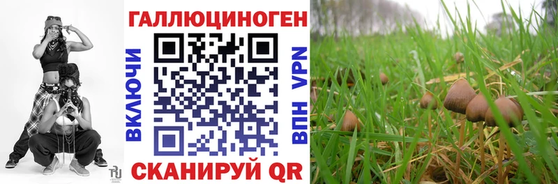 Псилоцибиновые грибы Psilocybe  Муравленко 